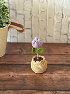 Crochet lavender tulip in terracotta pot alternate view, handmade in Toronto