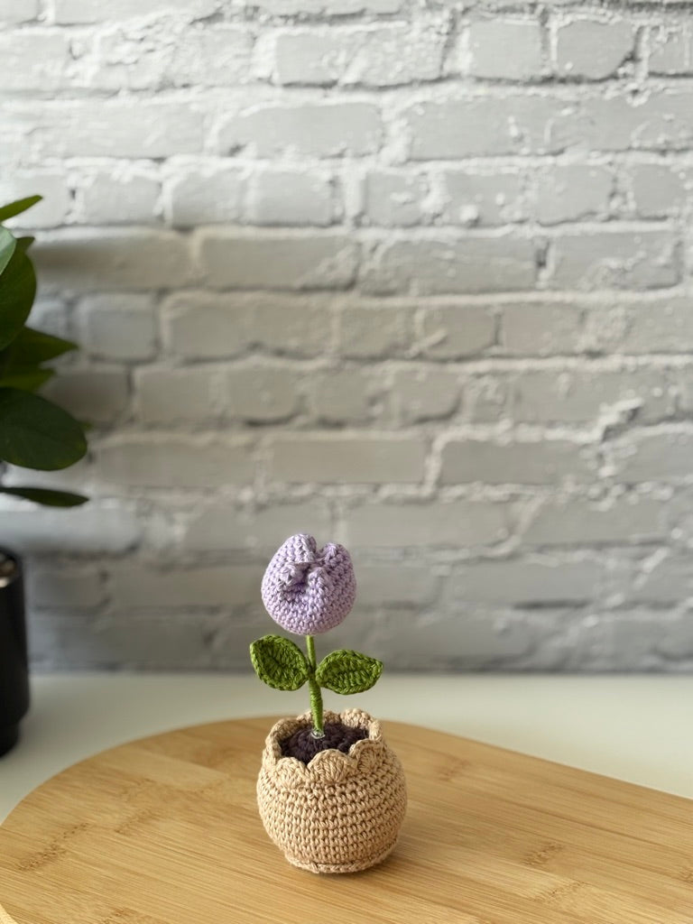 Crochet Purple Tulip in Pot