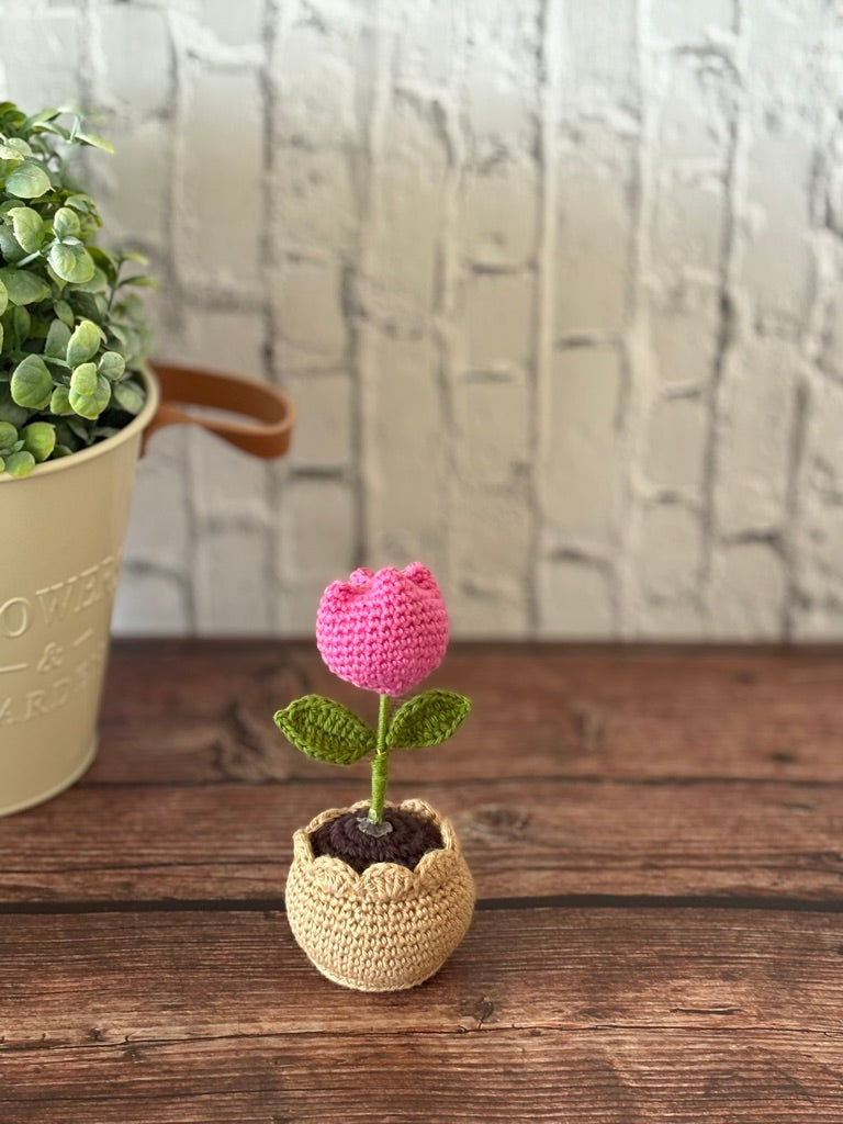 Crochet Pink Tulip in Pot