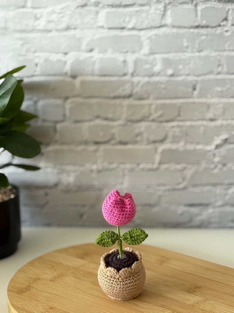 Crochet Pink Tulip in Pot