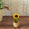Crochet Sunflower in Pot — 'Ray of Sunshine' by Looped Little Things, view 4