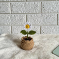 Crochet daisy in a crochet pot, handmade home decor by Looped Little Things