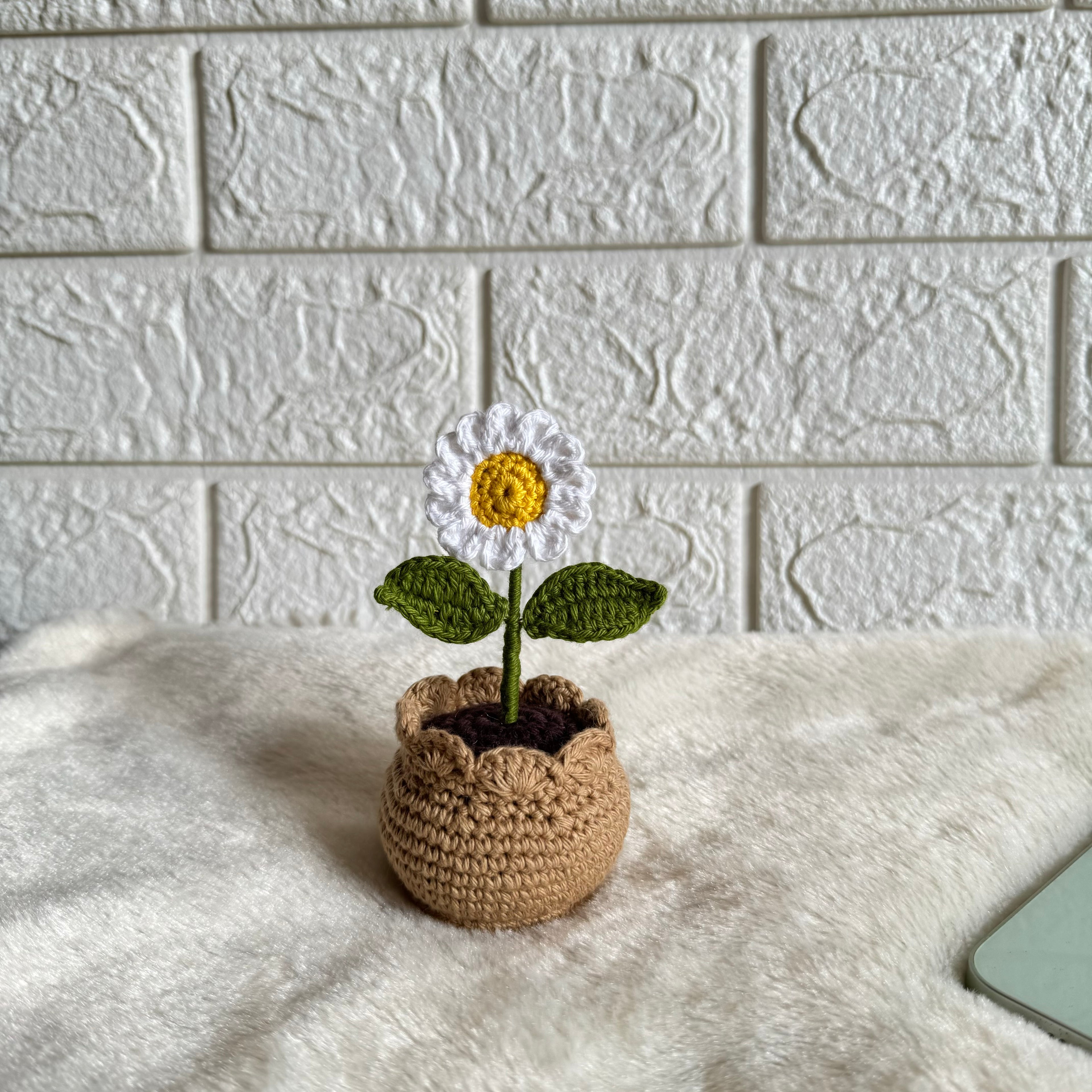 Crochet daisy in a crochet pot, handmade home decor by Looped Little Things