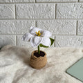 Crochet lily in a crochet pot, handmade home decor by Looped Little Things